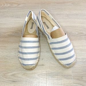 Soludos striped original plant form